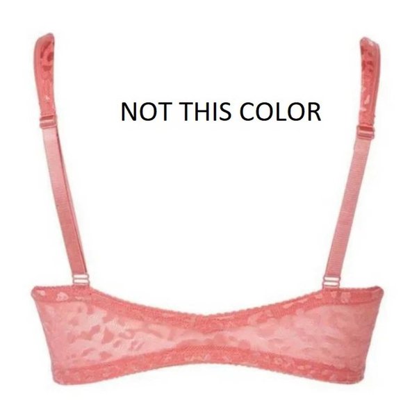 SzXL 2 Rhonda Shear Jacquard Molded Cup Bras - Picture 3 of 8